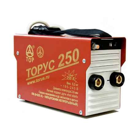 Купить Сварочный инвертор ТОРУС-250 ЭКСТРА (НАКС)